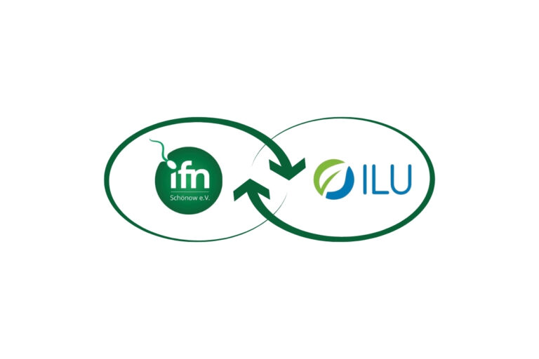 ILU und IFN Übergangslogo