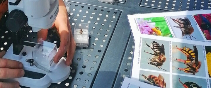 Zukunftstag Brandenburg mit dem FIB