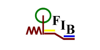 Logo FIB