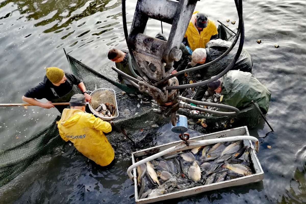 Institut für Binnenfischerei e.V. Potsdam-Sacrow