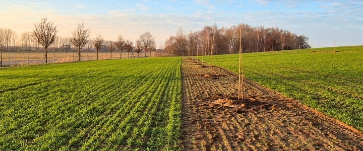Feldtag Agroforst nachhaltig etablieren 2026_Klimapraxis