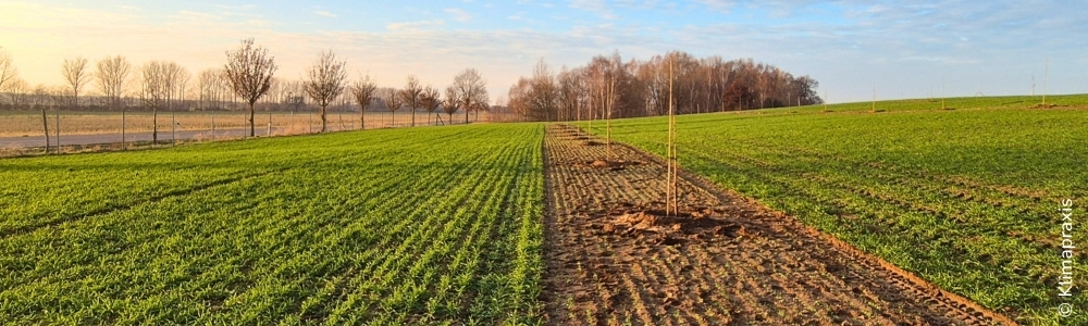 Feldtag Agroforst nachhaltig etablieren 2026_Klimapraxis