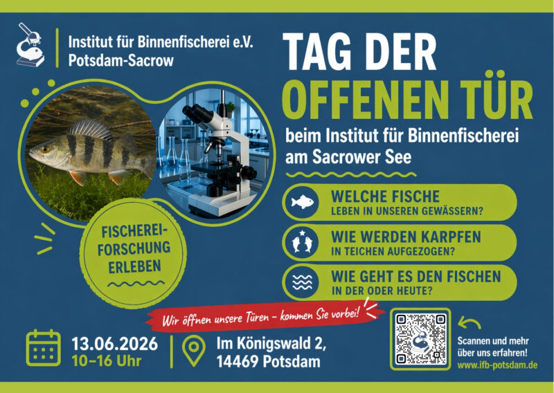 IfB Potsdam Tag der offenen Tür 2026