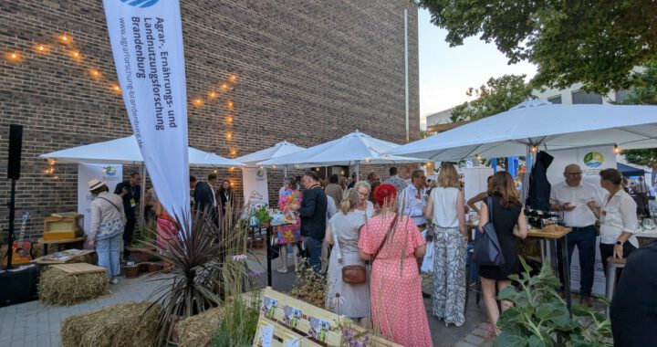 Brandenburger Sommerabend 2026 in Potsdam
