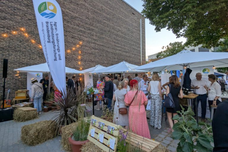 Brandenburger Sommerabend 2026 in Potsdam