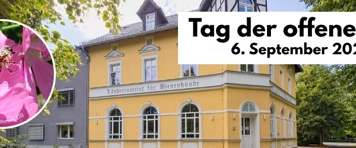 LIB Tag der offenen Tür 2026