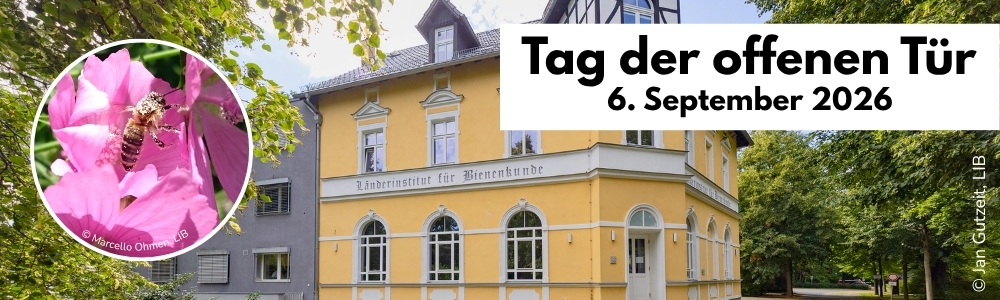 LIB Tag der offenen Tür 2026