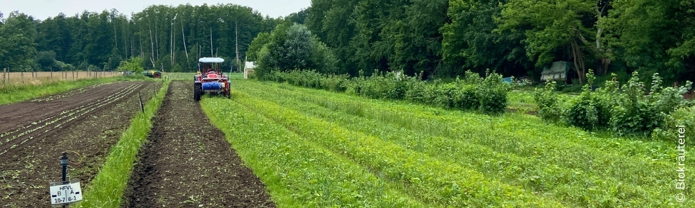 Feldtag Bodenmikrobiom