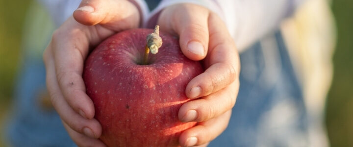 Apfel
