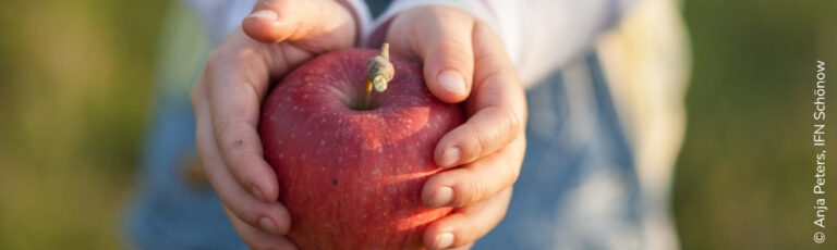 Apfel